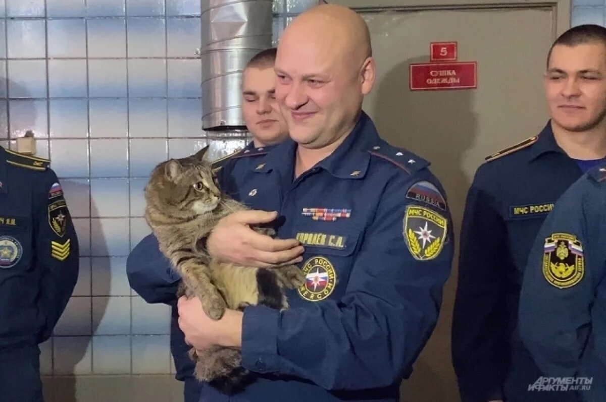    Кот Толик из Москвы