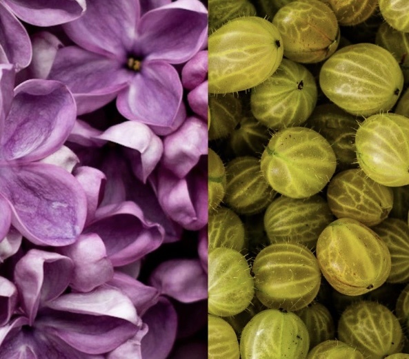 Картинка с Озон