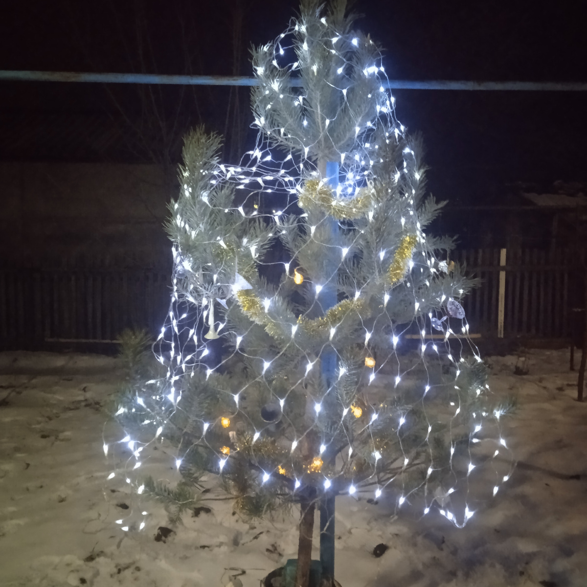 Ёлочка гори ! 