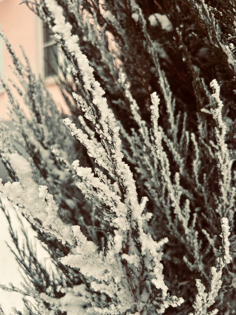 Фотография автора канала.