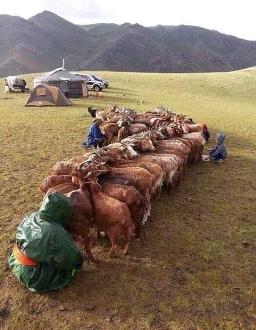 Фото из ФБ Вроде уже постил, но уж больно колоритное...