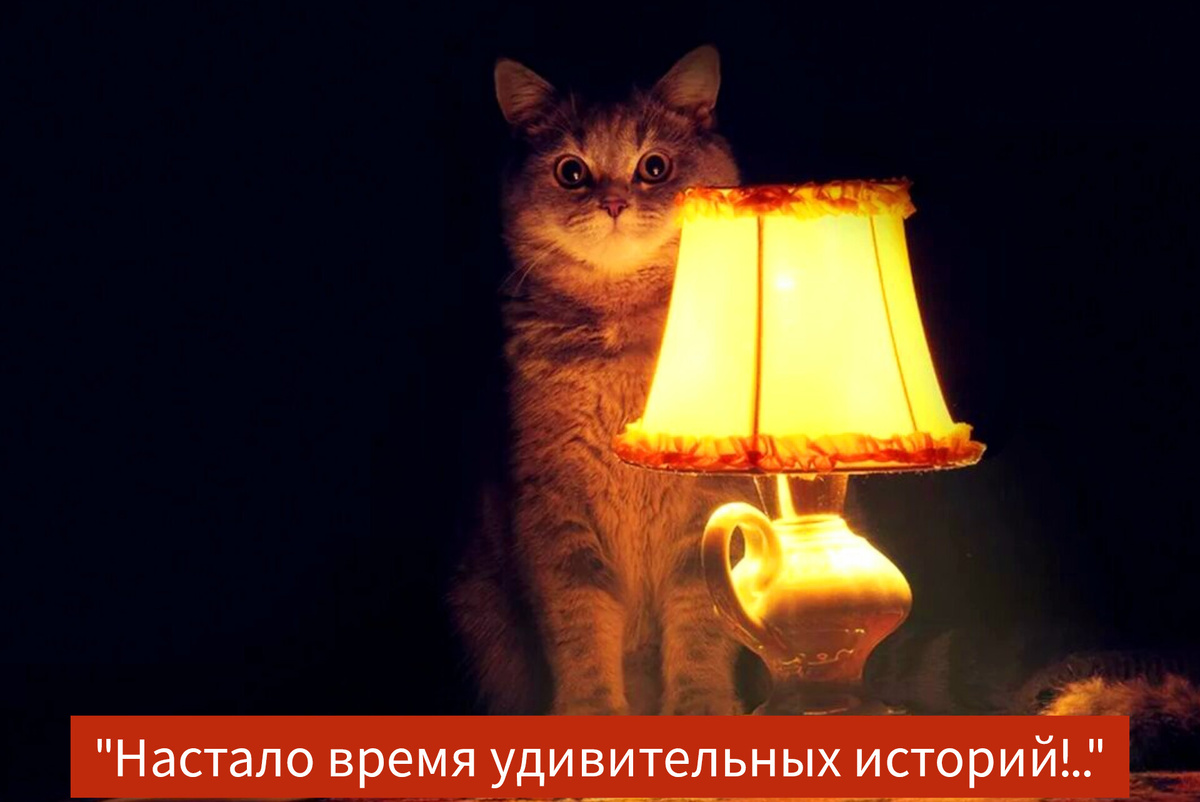 Фото в редакции автора