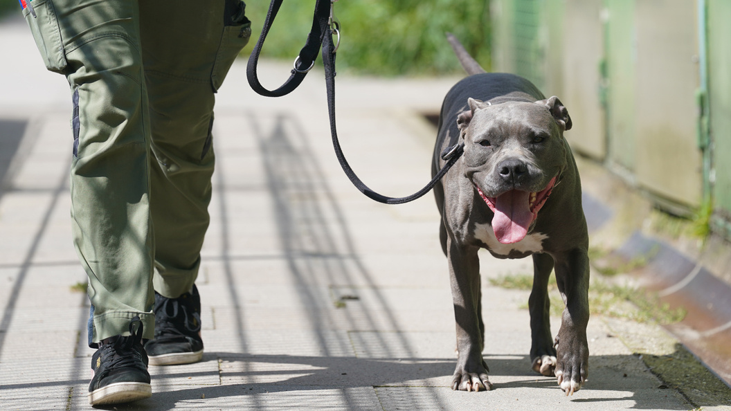    Marcus Brandt/dpa/Globallookpress