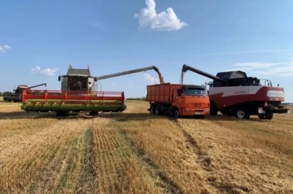    Земледельцы Брянщины собрали 1,9 млн тонн зерна и 1,25 млн тонн картофеля