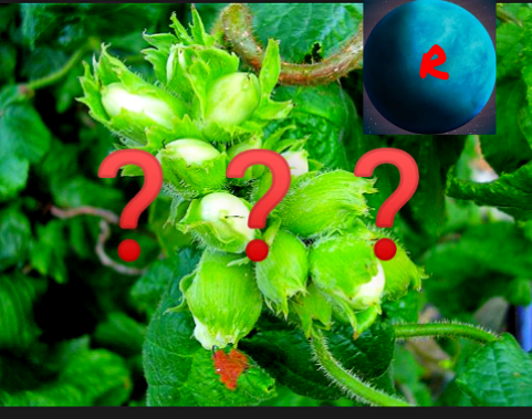 Почему я больше не пишу на Дзене?