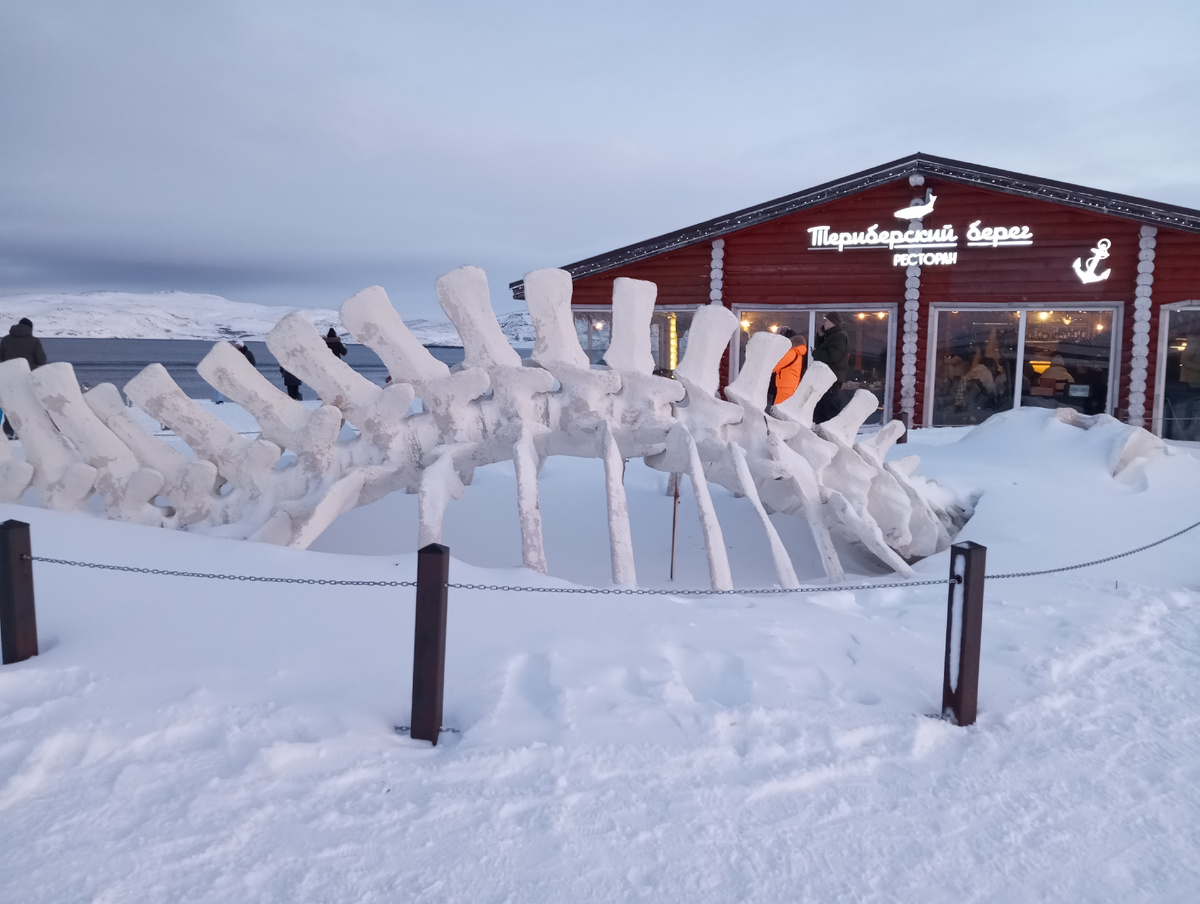 А вот и знаменитый скелет кита. Естественно это макет, сделанный для съемок фильма. Часть настоящего скелета кита в Териберке тоже есть, и она совсем не похожа на этот макет