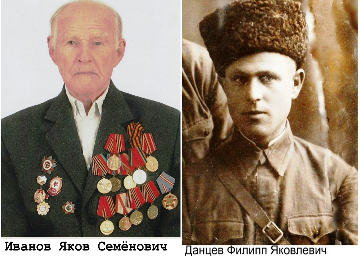 Мои дедушки