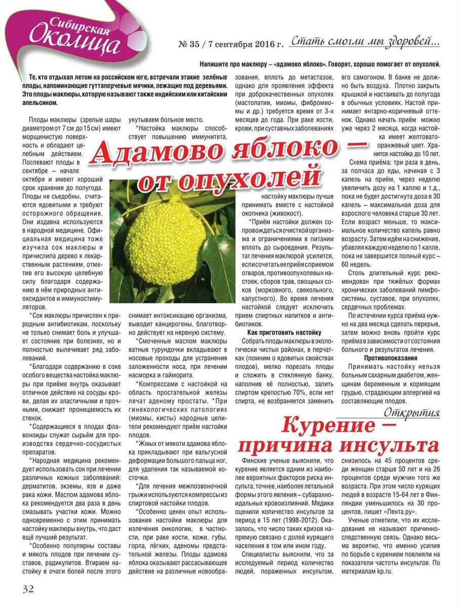 Как выглядит адамово яблоко