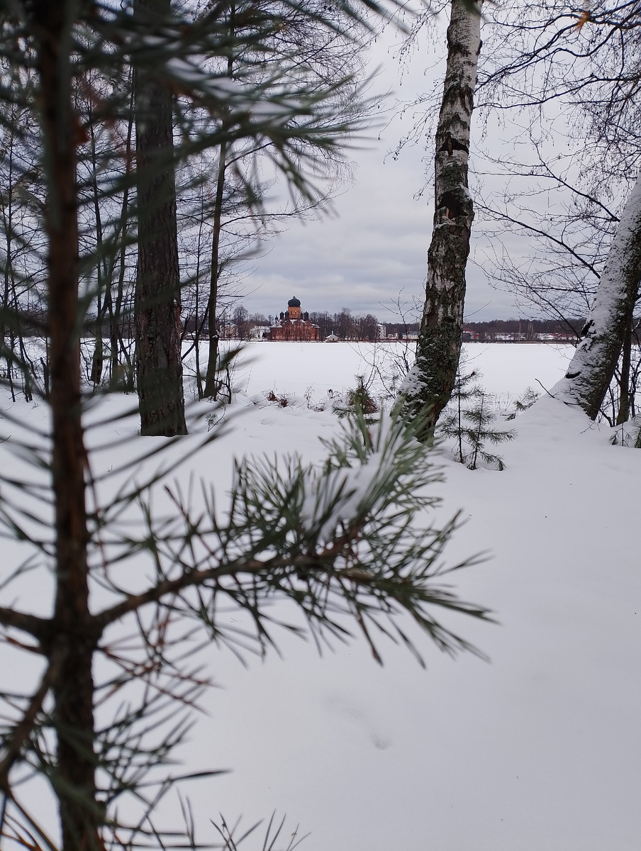 Фото из леса, в далеке монастырь.Озеро 🚣 замёрзло конечно