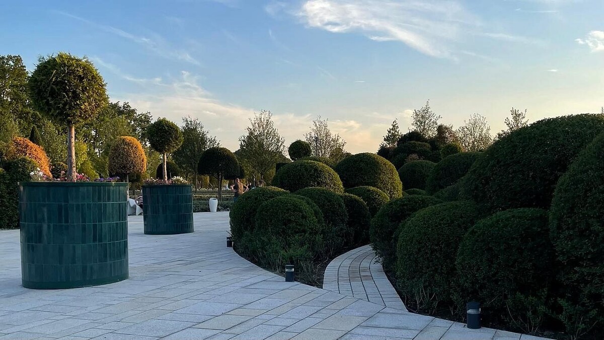    Фото: телеканал «Краснодар»