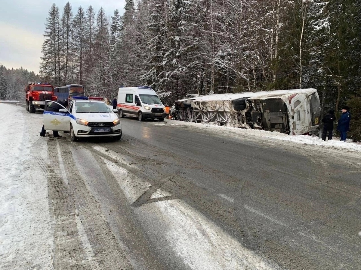    Курские туристы, попавшие накануне в ДТП в Карелии, вернулись на родную землю