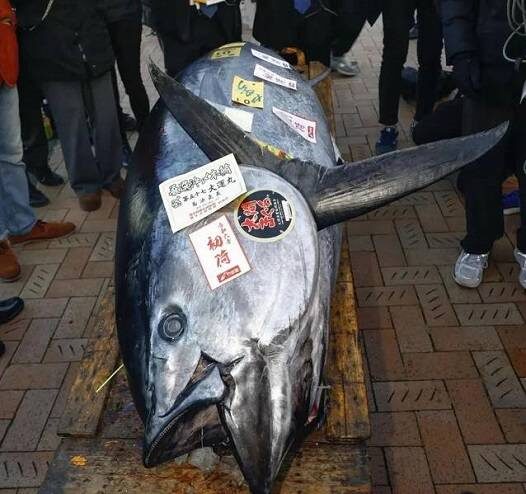    Источник фото: японская телекомпания NHK