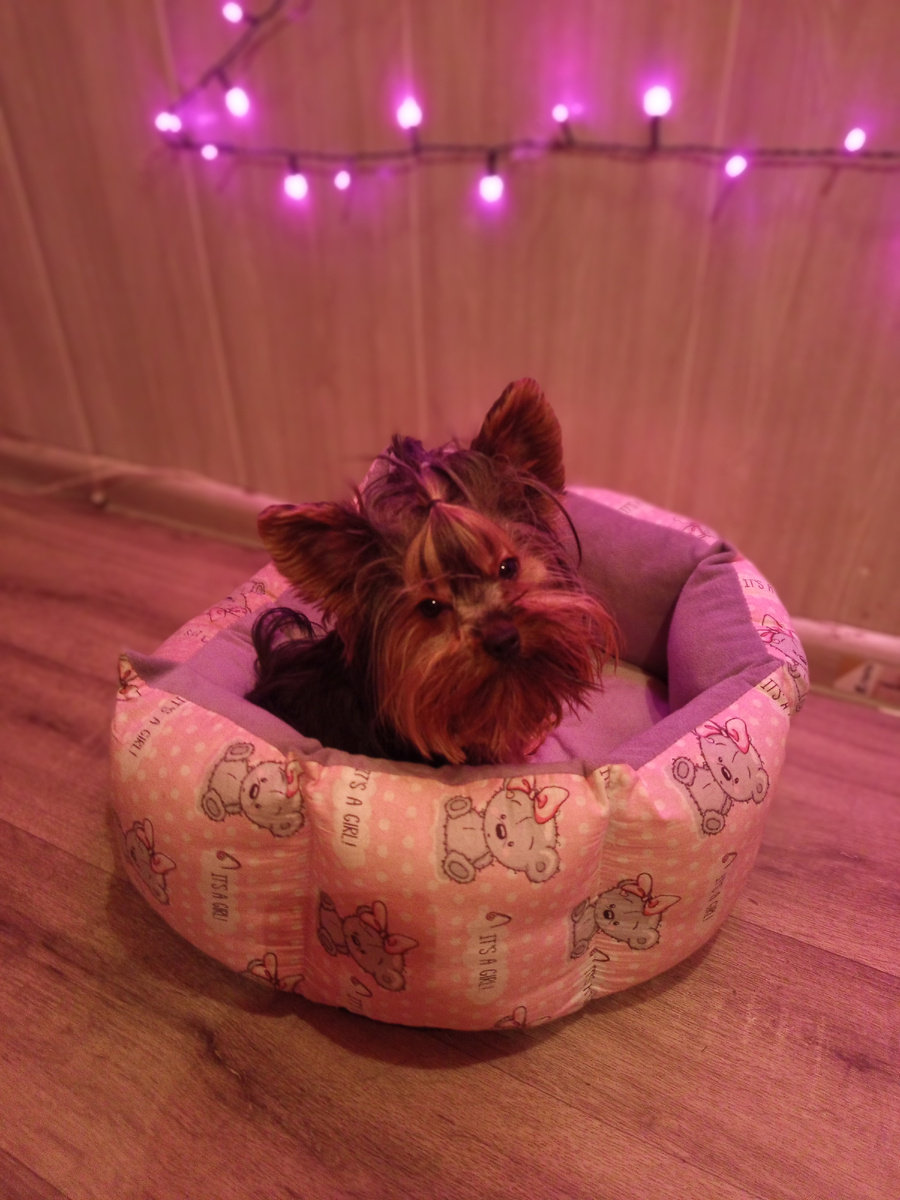 Меня на учет тоже возьмут?