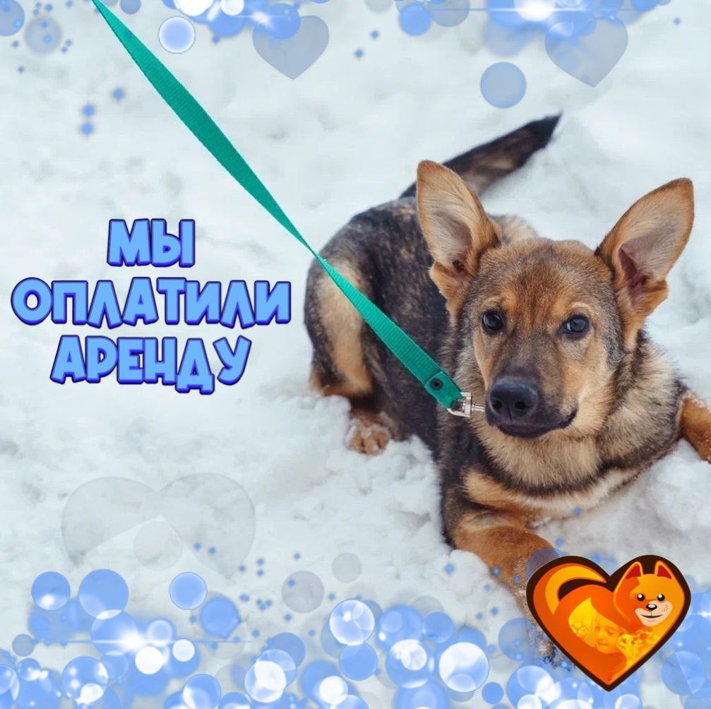 Спасибо вам, дорогие друзья!