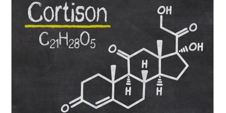 Кортизол гормон «стресса и страха» 