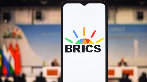    Индонезия рассказала о своих ожиданиях от БРИКС Алина Городниченко