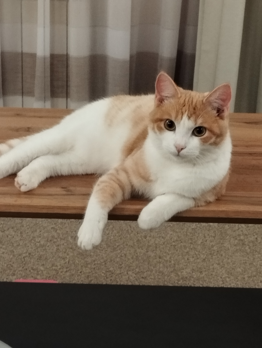 Наш независимый Масик 