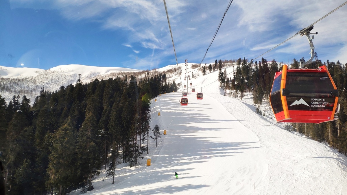     Источник: 1MI