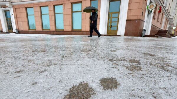    © Sputnik / Виктор Толочко