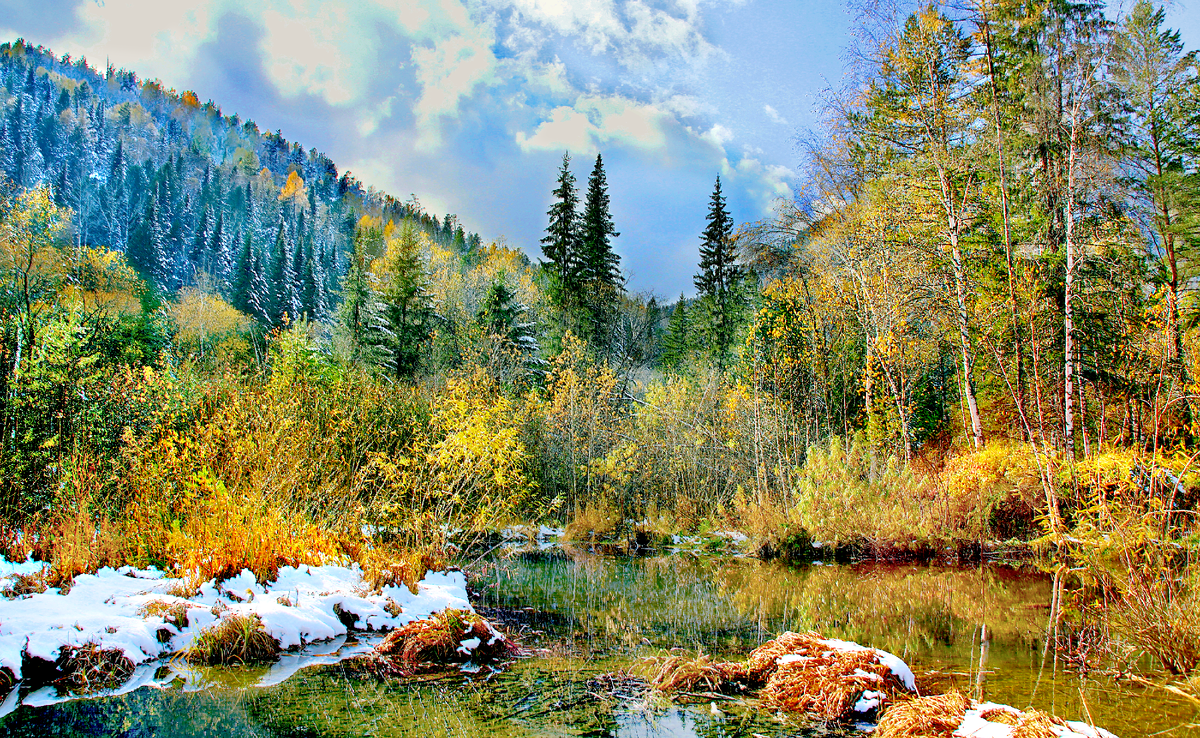 Фотография, стихотворение Василия Глуцкого