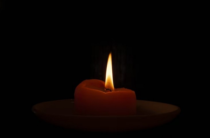    Фото: freepik.com Ксения Евдокимова