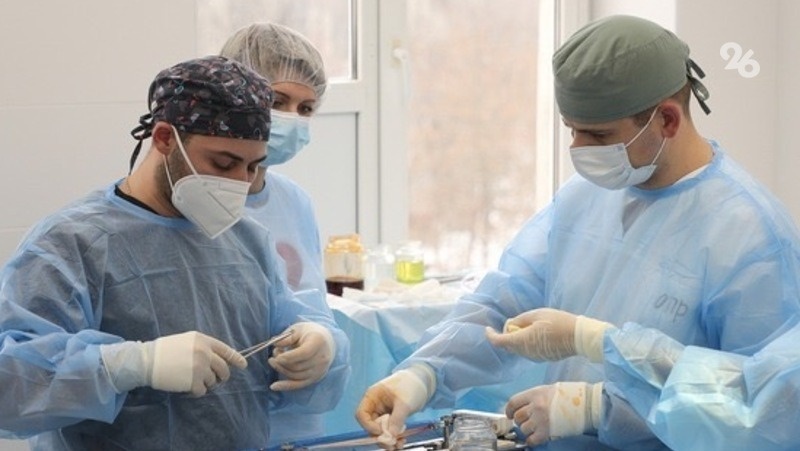    Современная молодёжь склонна к поиску заменяемой и высокооплачиваемой работы, не требующей специальных знаний Фото: ИА «Победа26»