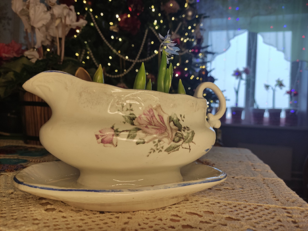 Пролеска сибирская - нежный голубой цветок к Новому году