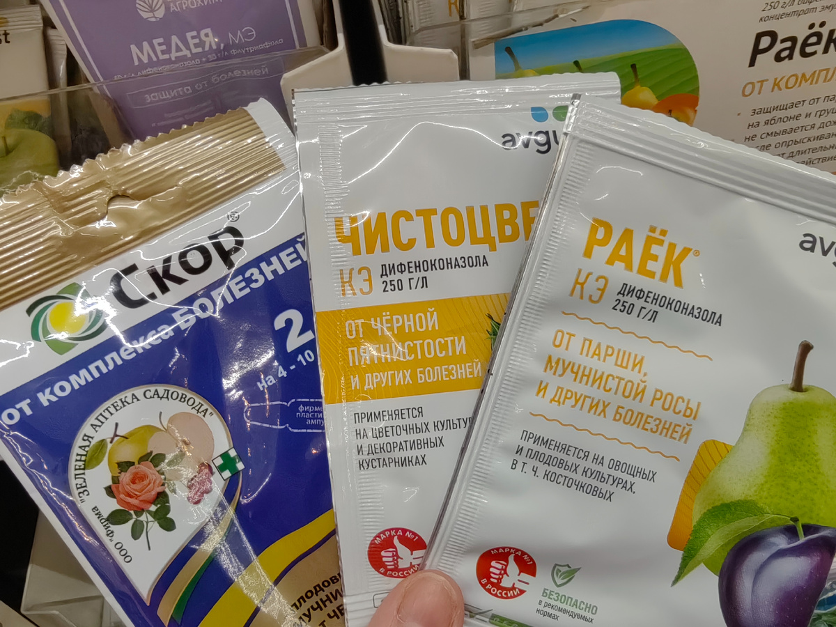 Эти препараты не годятся для ранневесеннего опрыскивания. 