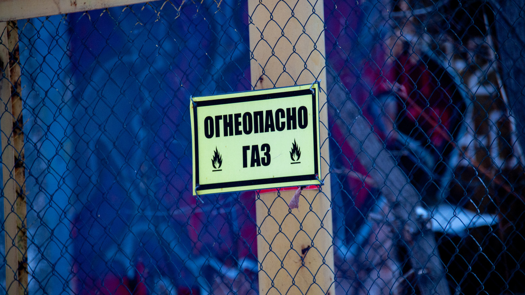    Фото: Svetlana Vozmilova/Global Look Press