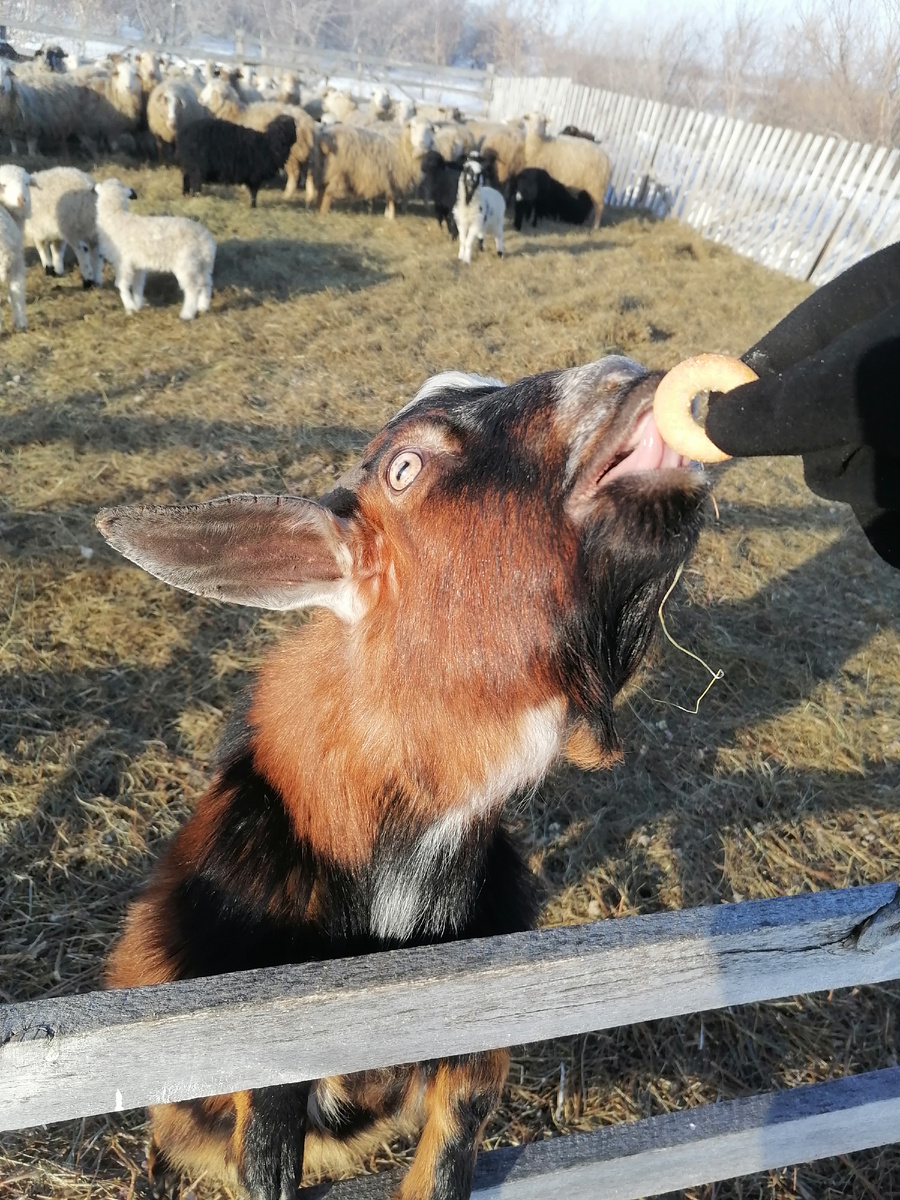 Красивое😁