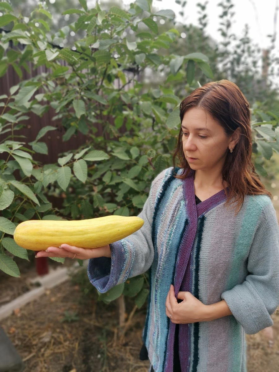 Тортарелло, Бареззе, Армянский Огурец в спелом виде.