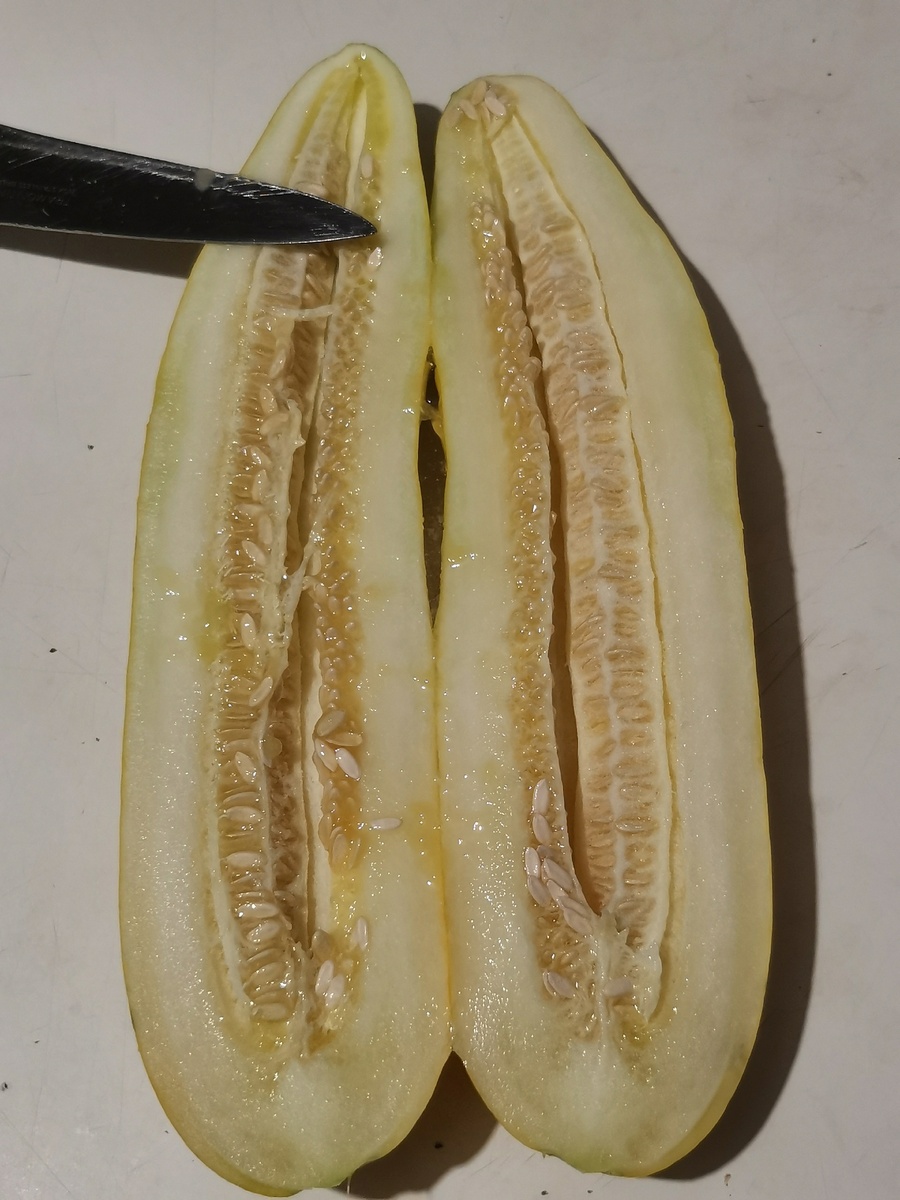 Тортарелло, Бареззе, Армянский Огурец в разрезе.