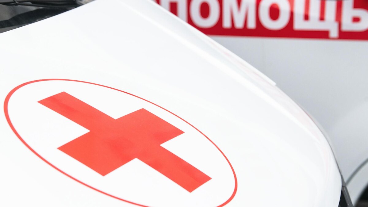 Фото: Ilya Moskovets/globallookpress.com