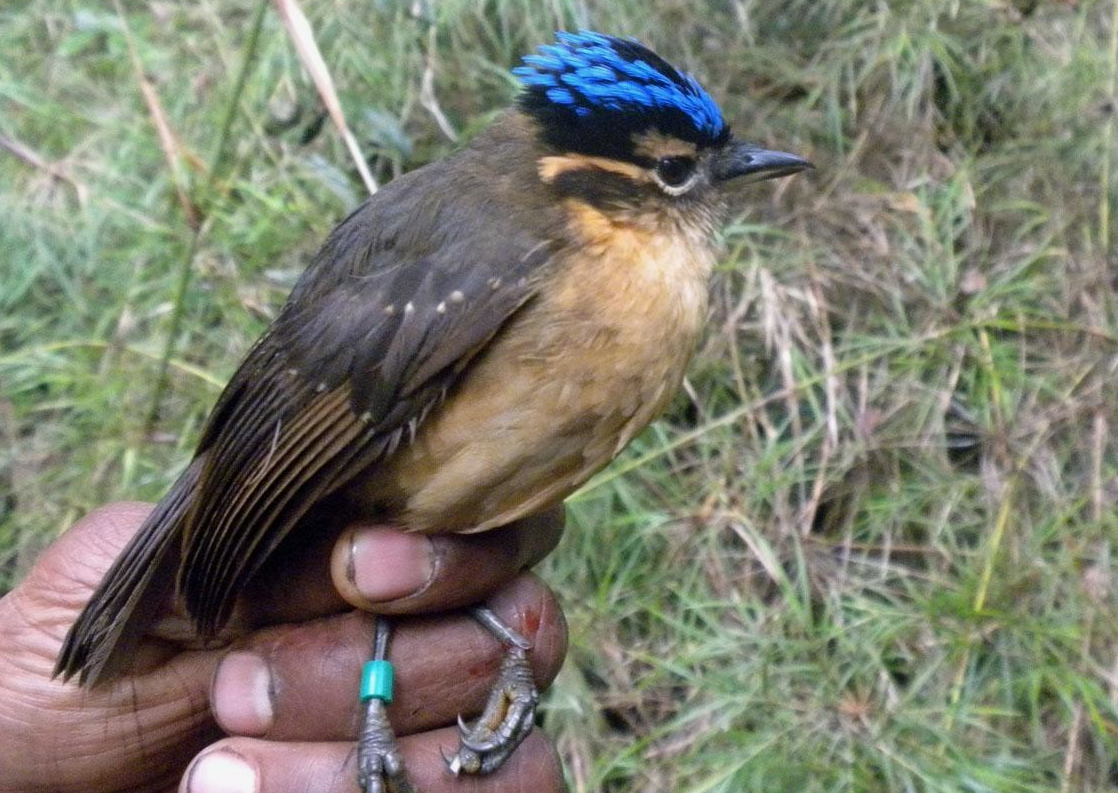 - Ну фсё, человек, ты сам напросился!