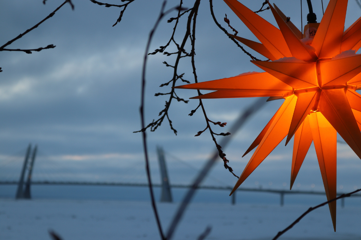 Культурное пространство Севкабельпорт. Фото автора