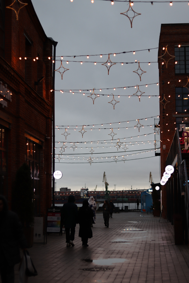 Культурный и деловой квартал Брусницын. Фото автора