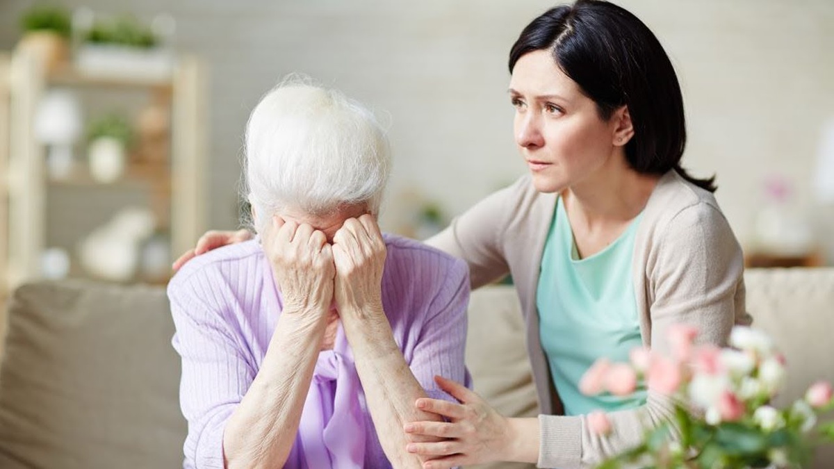 Фото из открытого доступа. 