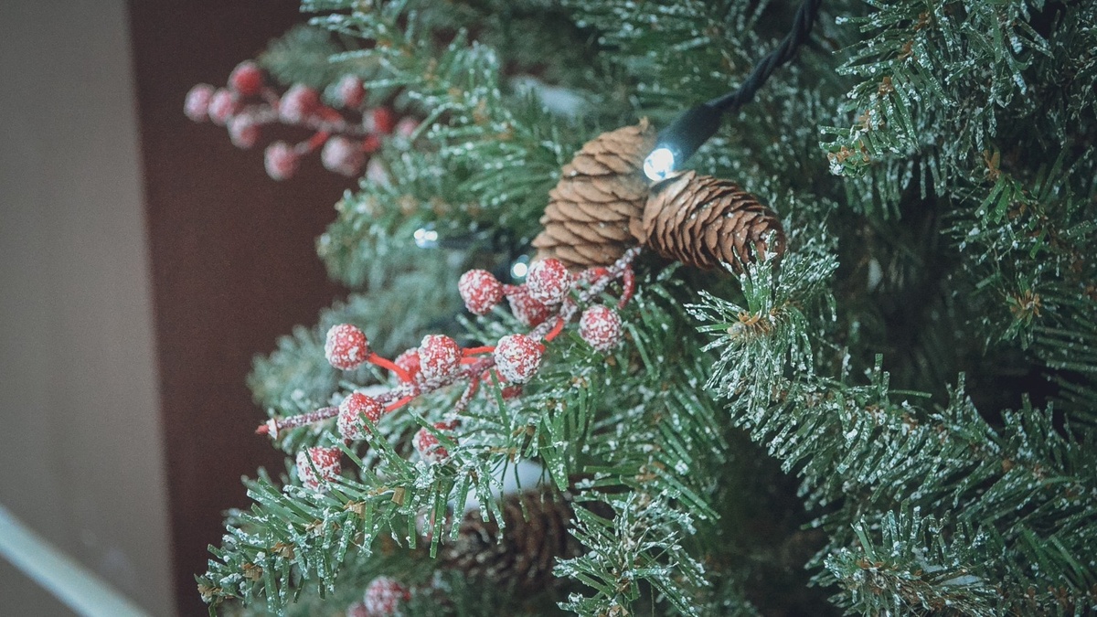     Источник: 1MI