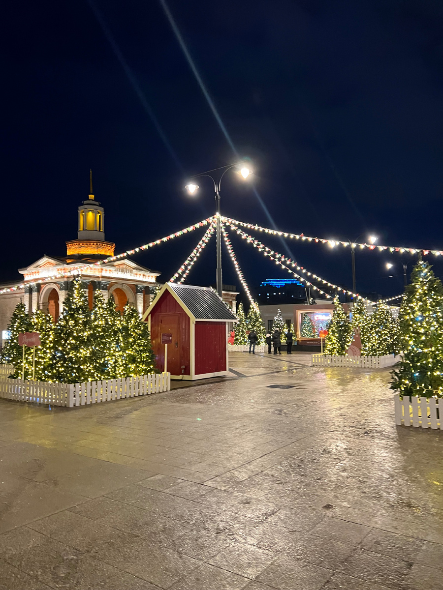 Светящиеся елочки на Рязанской ВДНХ