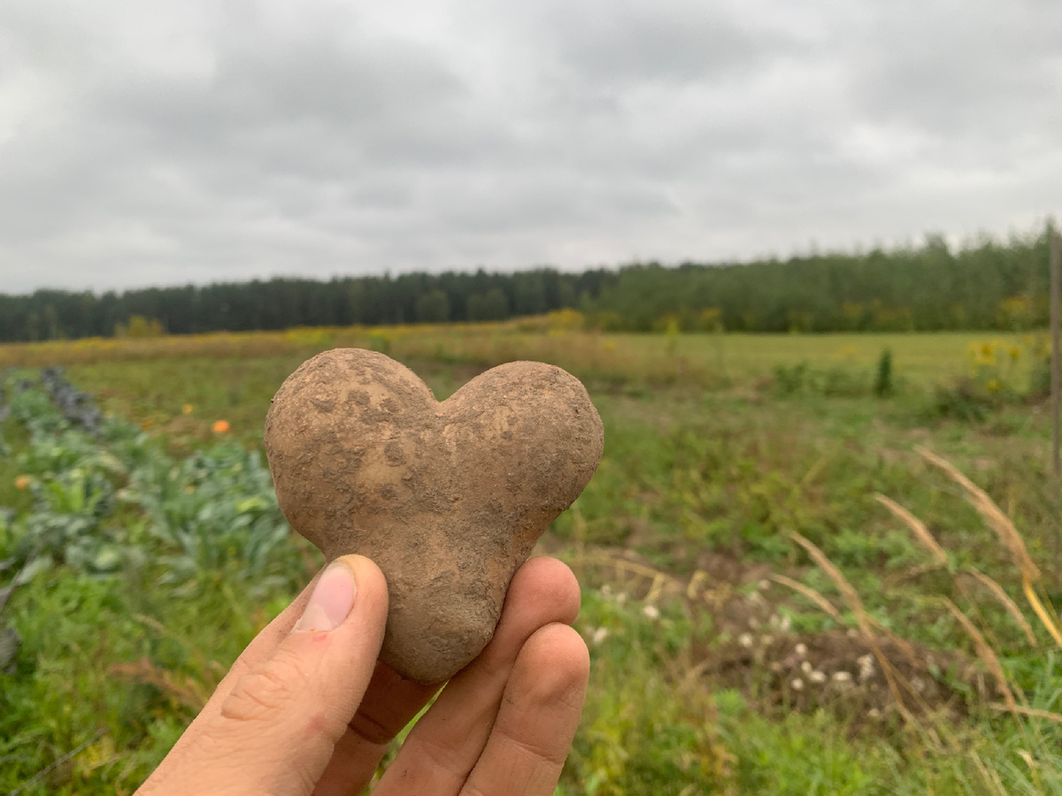 Природа посылает нам знаки. Она любит нас и кормит и мы должны быть ей за это БЛАГОдарны!