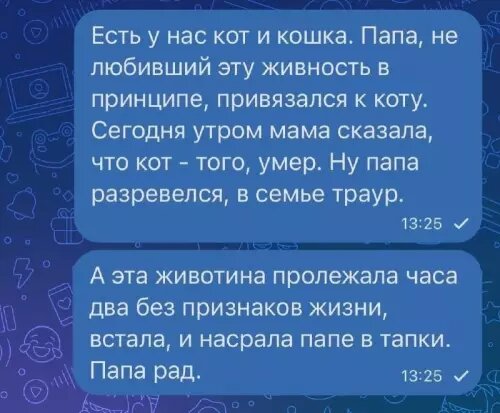 Счастье в мелочах