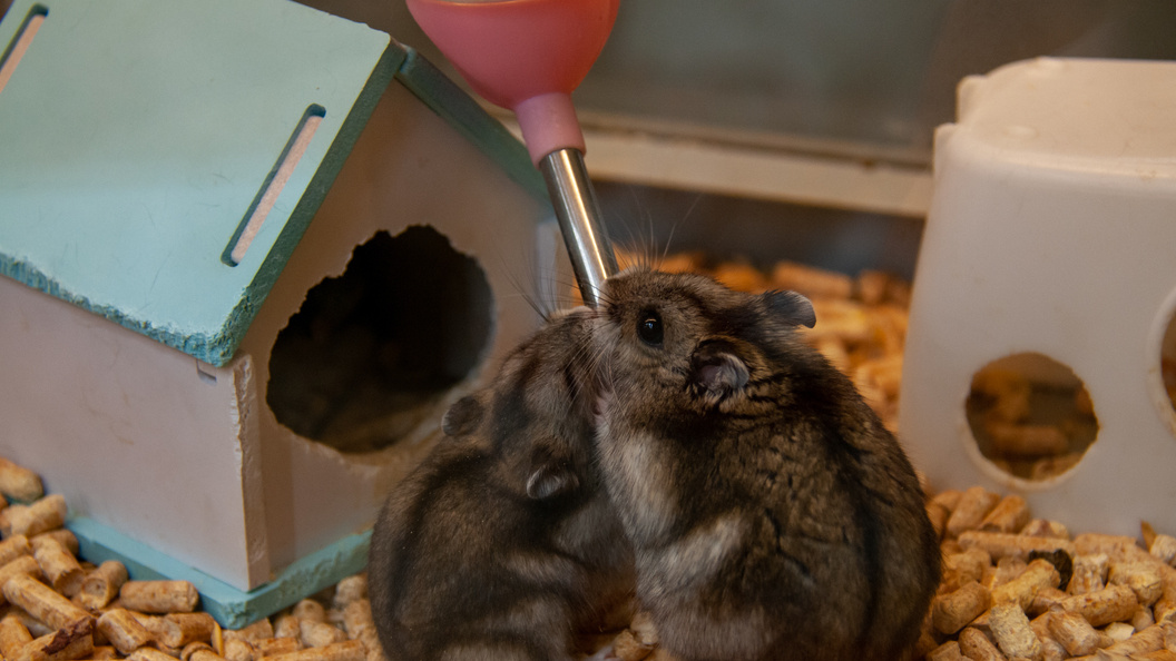    Svetlana Vozmilova/Global Look Press