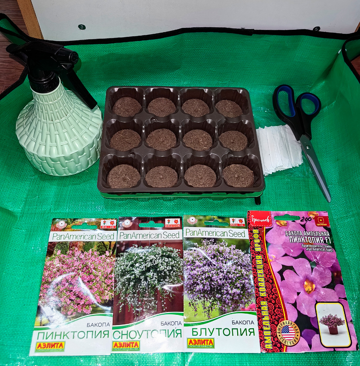 Всё для посева бакопы