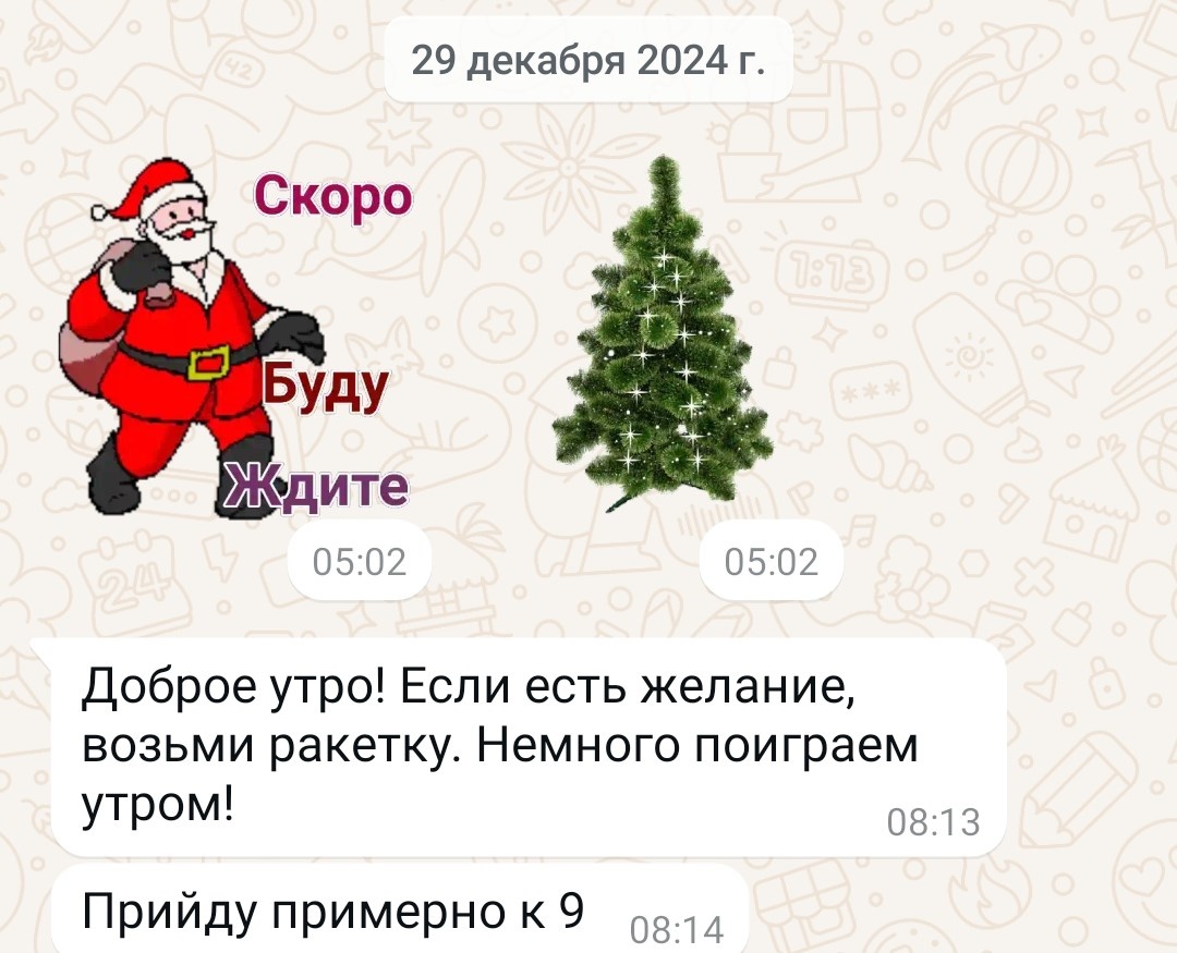 В WhatsApp Дед Мороз движется