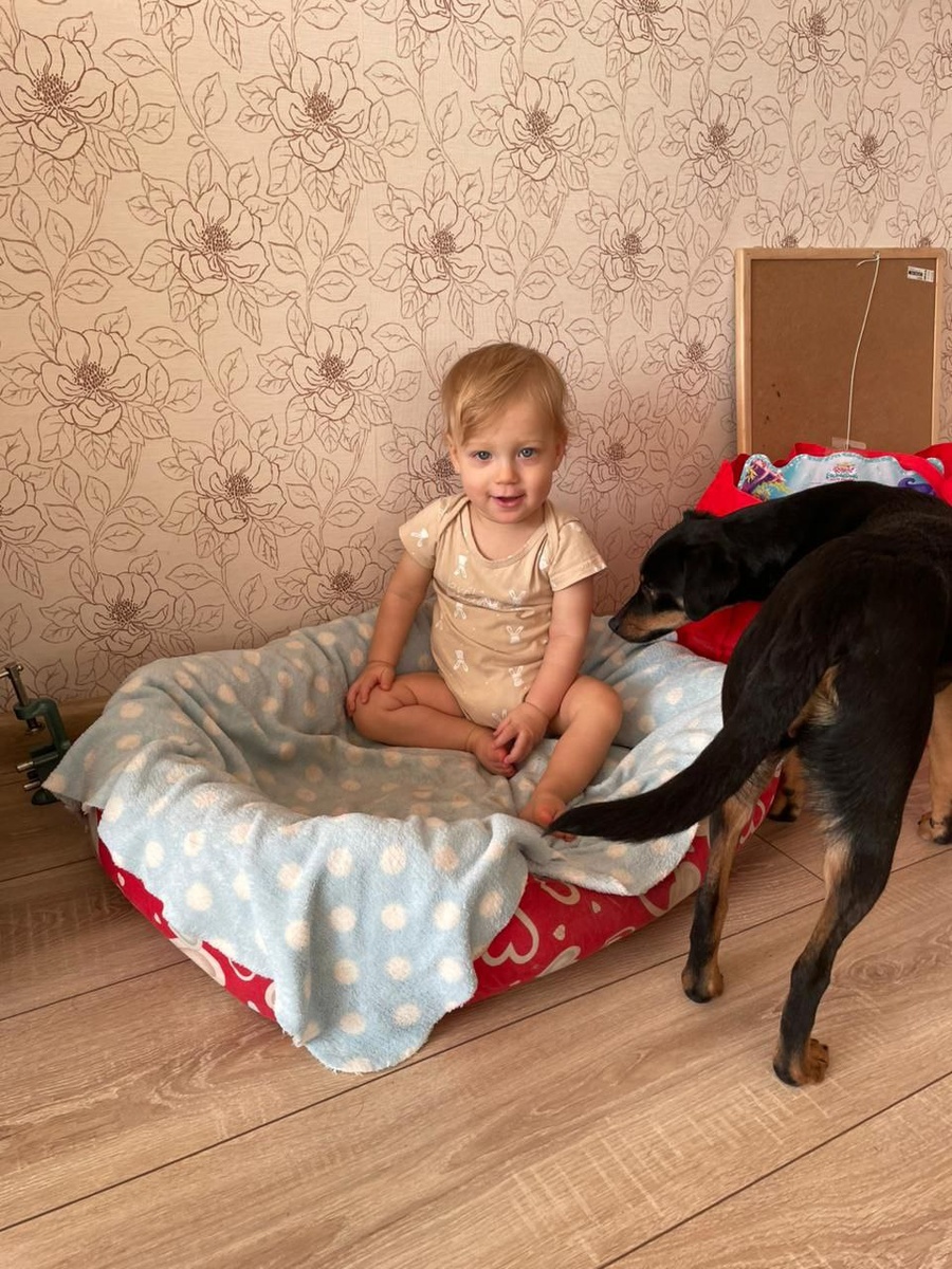 Она быстро абаптировалась в новом доме