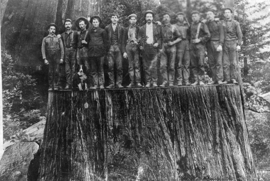 "Одна девушка и 12 лесорубов": Анна Блок и её удивительная история выживания из XIX века