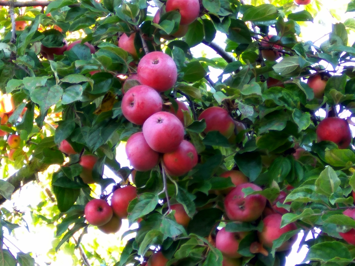 фото из личных архивов