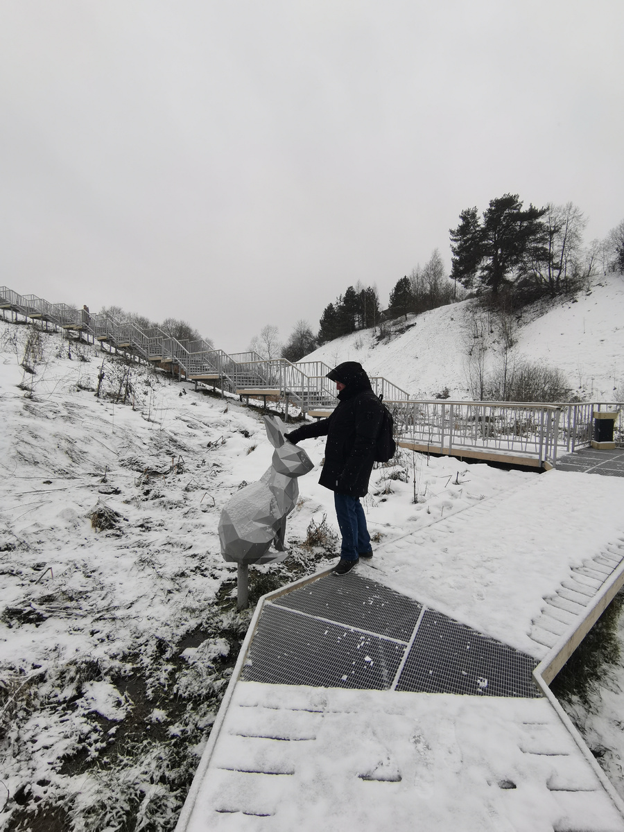 Заяц-искатель