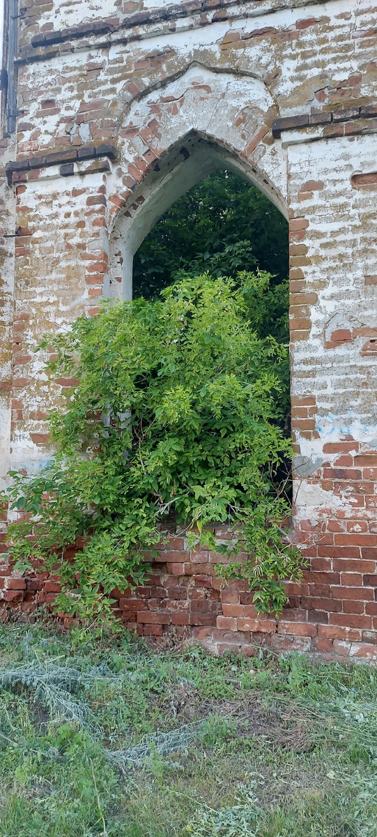 Стрельчатые окна