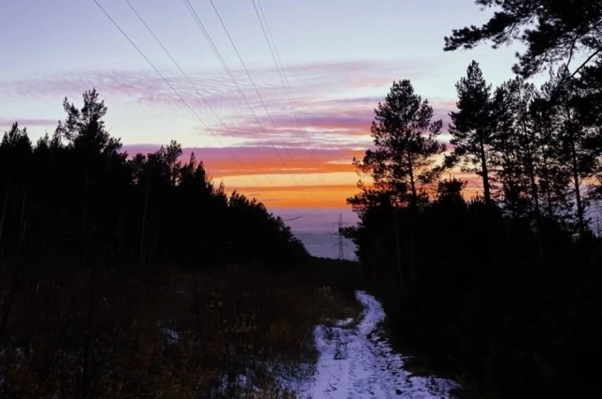    Правила транспортировки древесины изменились с 1 января в Забайкалье